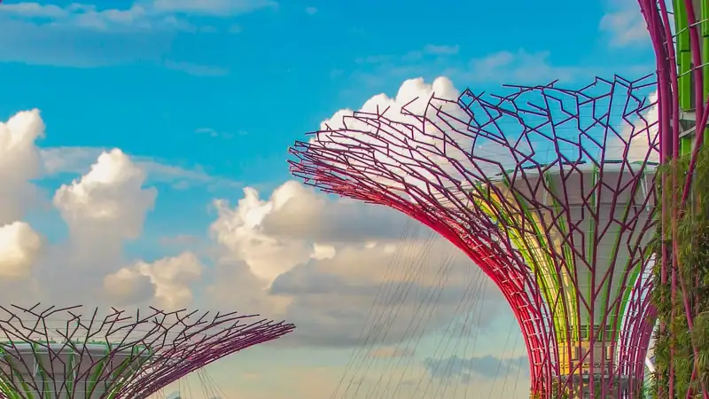Supertrees at Gardens by the Bay, Singapore