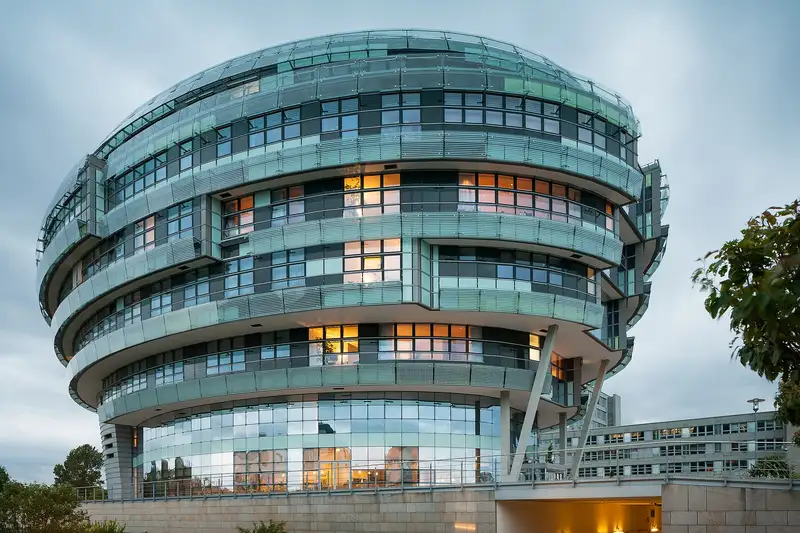International Neuroscience Institute