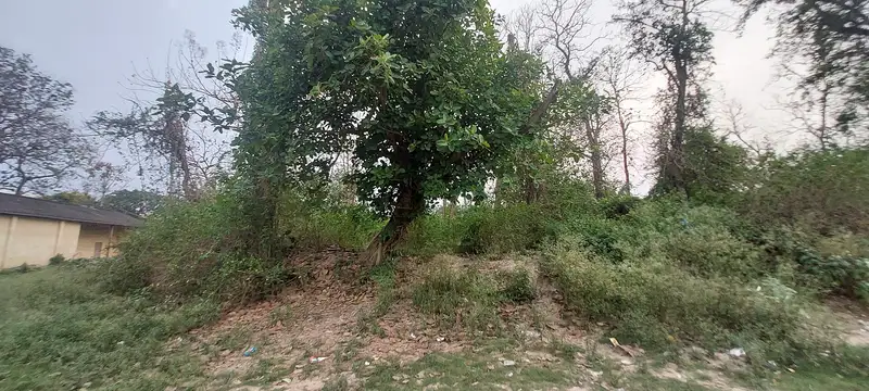 Patharhuri Primary Health Centre