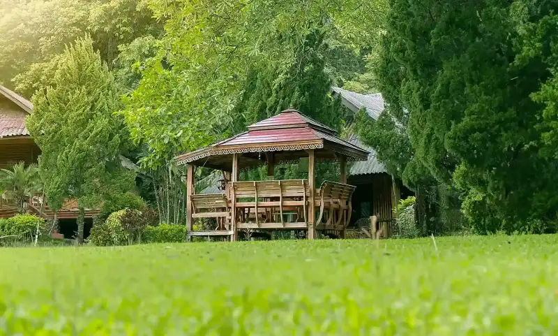 Siam Rehab