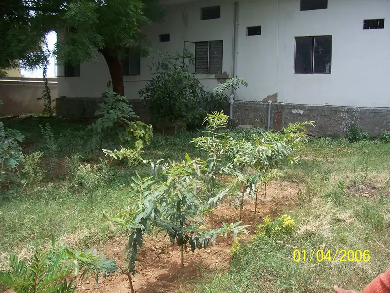 K.C. Ramanna Hospital