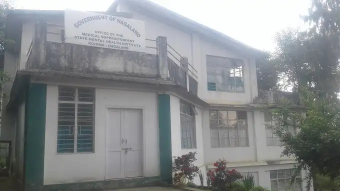 State Mental Health Institute