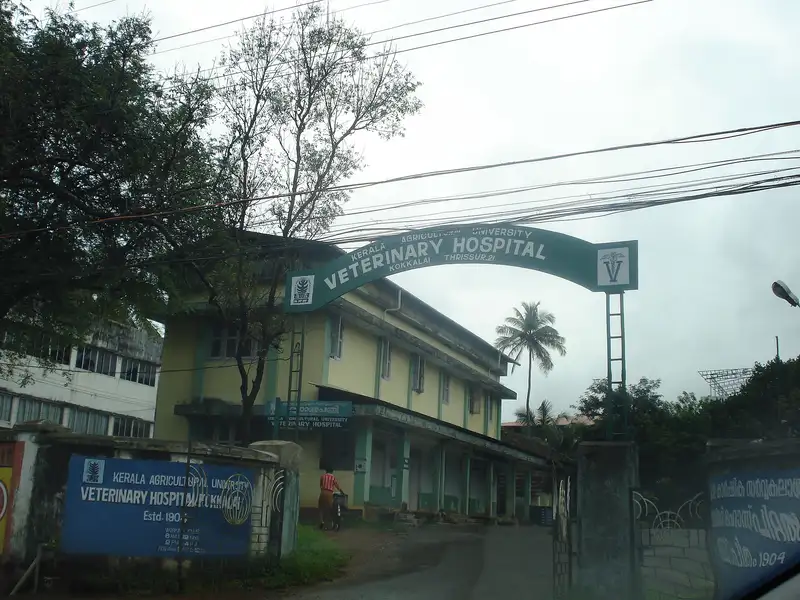 Chandipur Primary Health Centre