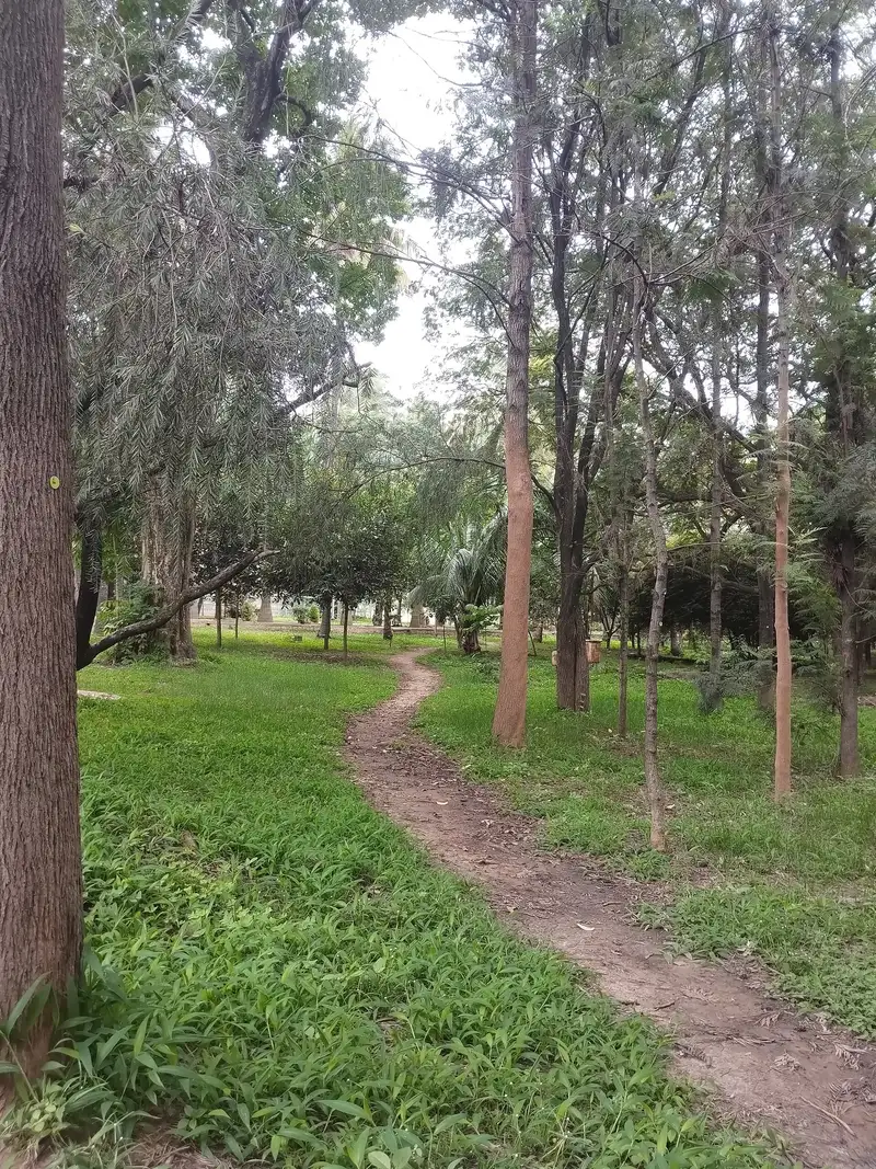 Community Health Center Neduva