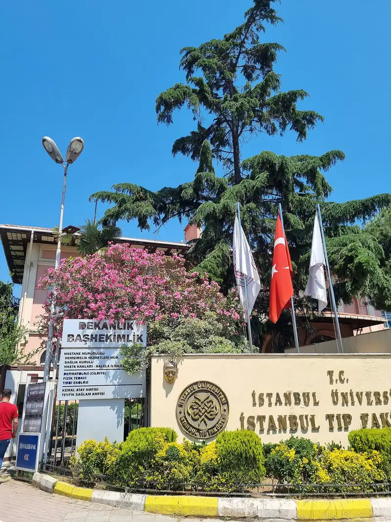 Istanbul Faculty of Medicine
