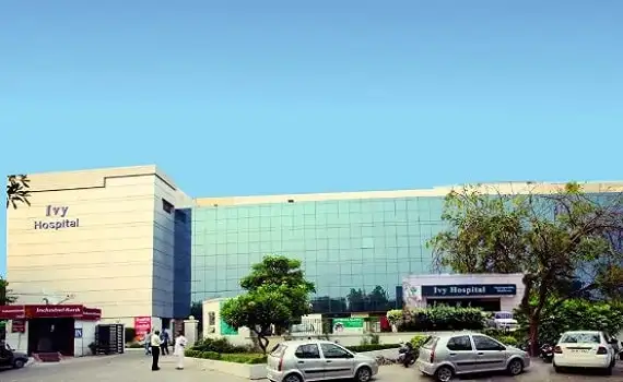 Ivy Health and Life Sciences Private Limited
