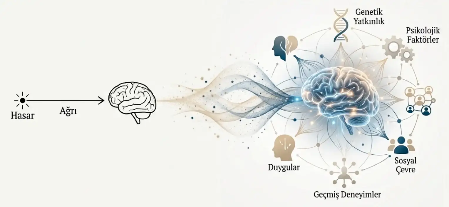 Asst. Prof. Dr. Bilgehan Potoğlu - Neurosurgery की इमारत