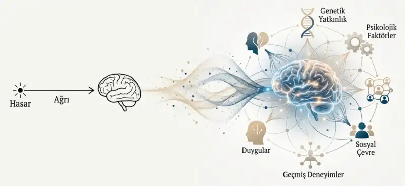 Asst. Prof. Dr. Bilgehan Potoğlu - Neurosurgery