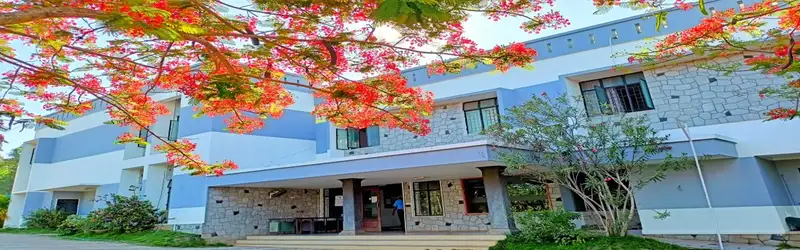 Institute for Communicative and Cognitive Neurosciences
