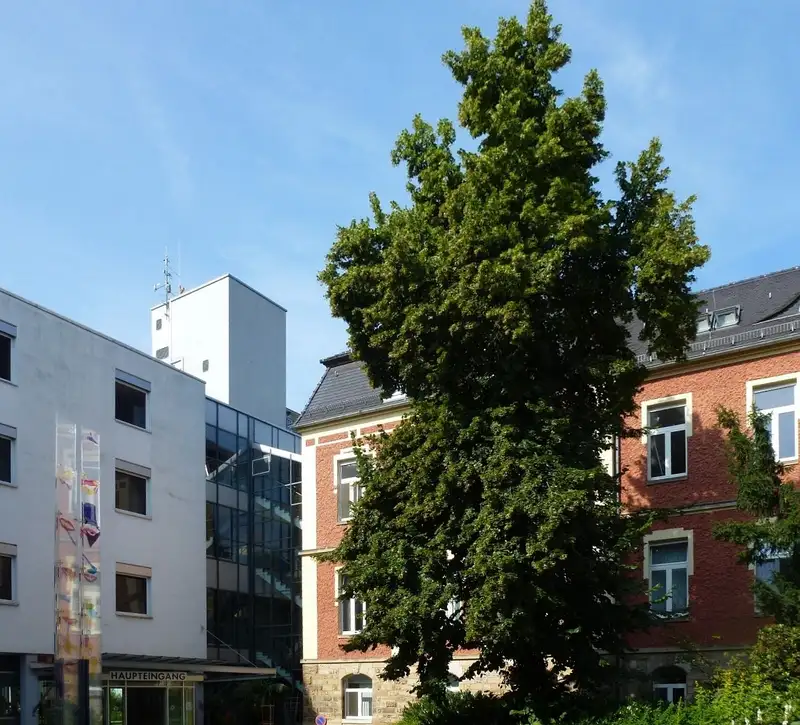 District hospital Torgau
